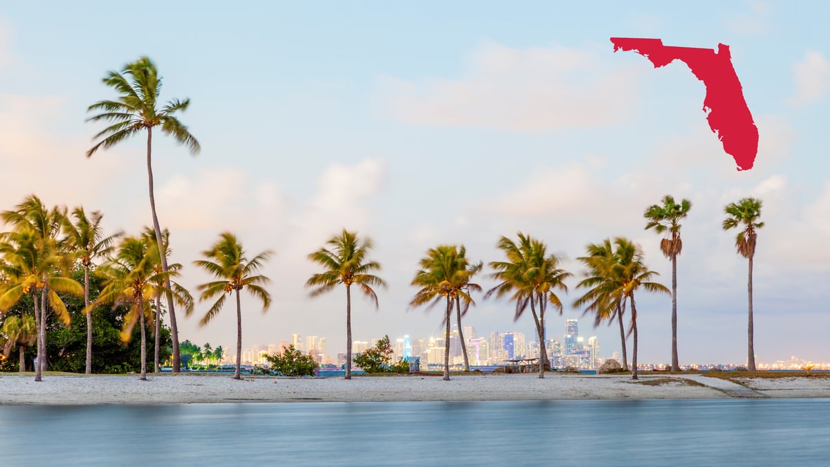 Discover Florida: A Guide for International Healthcare Professionals