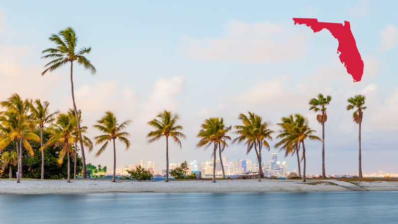 Discover Florida: A Guide for International Healthcare Professionals