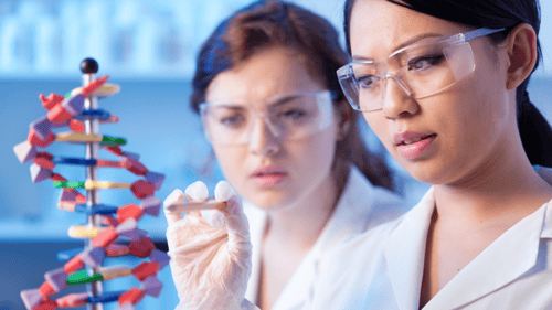 Conexus Medical Technologists making an impact in their U.S. careers