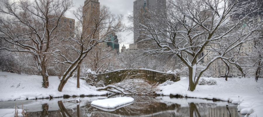 Winter in the USA for international registered nurses and medical technologists